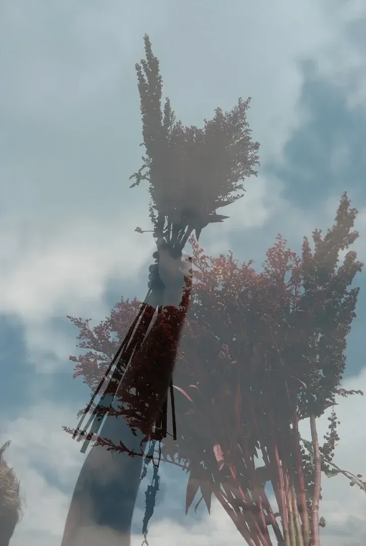 Red flowers held in hand