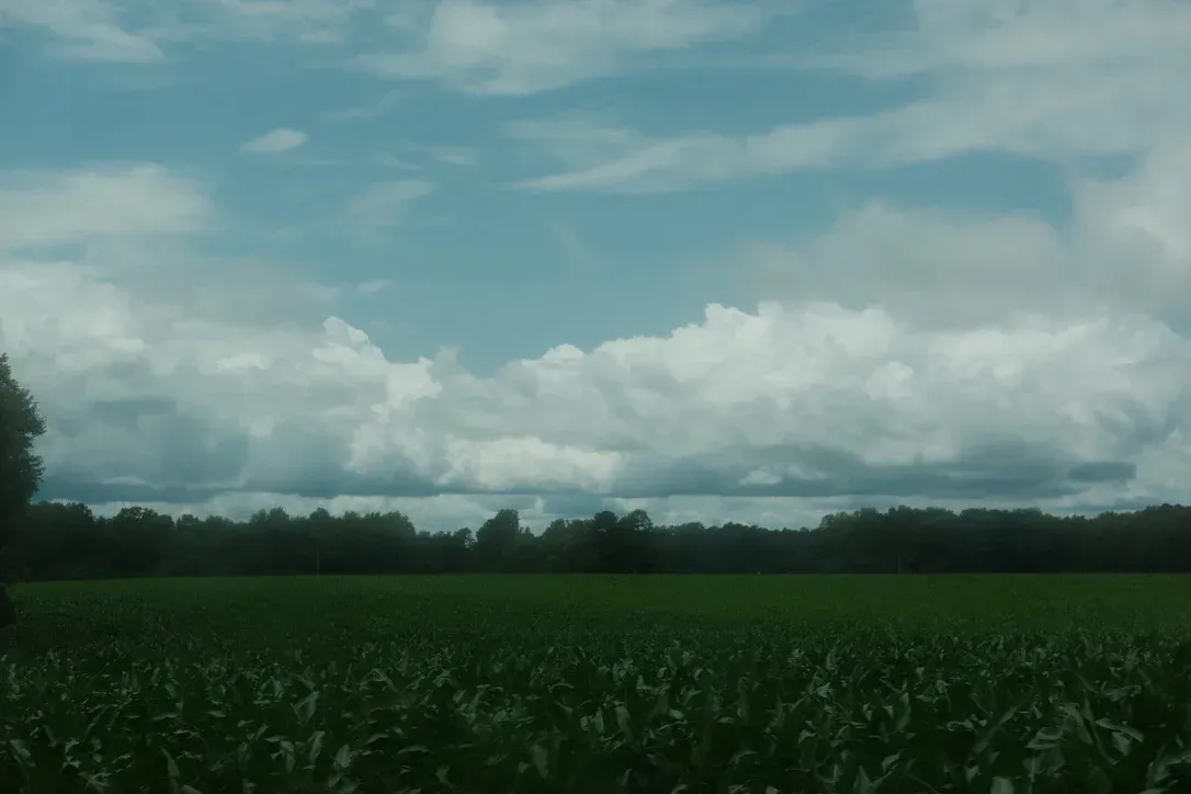 Sky and field landscape